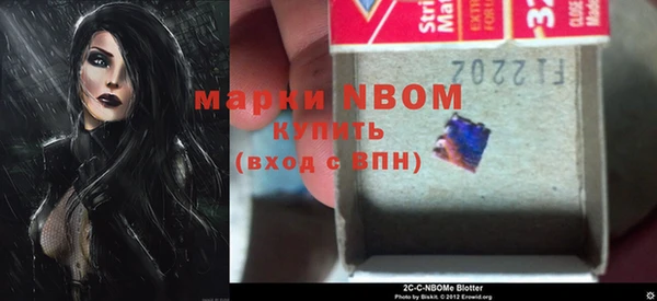 сатива Липки