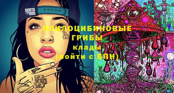 сатива Липки