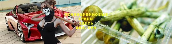 шишки Лихославль