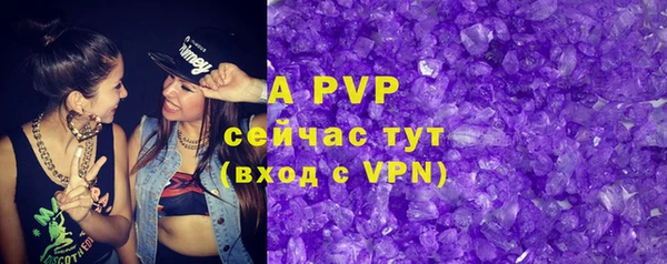 Альфа ПВП Ладушкин