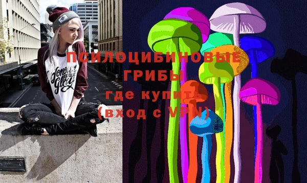 Альфа ПВП Ладушкин