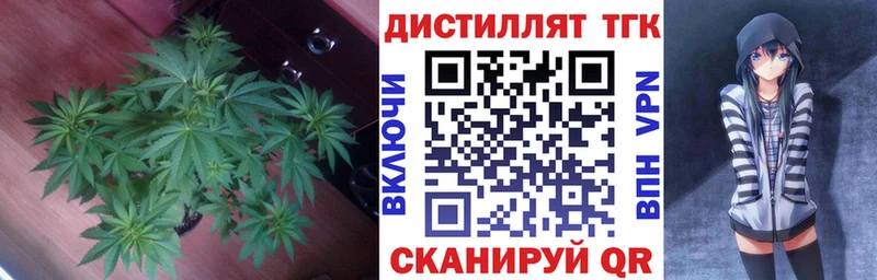 Дистиллят ТГК гашишное масло  ОМГ ОМГ как войти  Никольск 